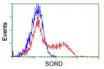 SORD Antibody in Flow Cytometry (Flow)