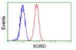 SORD Antibody in Flow Cytometry (Flow)