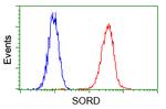 SORD Antibody in Flow Cytometry (Flow)