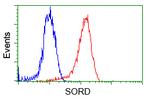 SORD Antibody in Flow Cytometry (Flow)