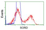 SORD Antibody in Flow Cytometry (Flow)