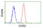 SORD Antibody in Flow Cytometry (Flow)