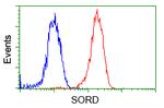 SORD Antibody in Flow Cytometry (Flow)