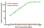 SOX17 Antibody in Luminex (LUM)