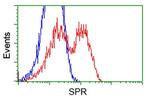 SPR Antibody in Flow Cytometry (Flow)