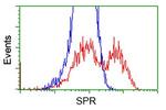 SPR Antibody in Flow Cytometry (Flow)