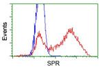 SPR Antibody in Flow Cytometry (Flow)