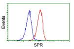 SPR Antibody in Flow Cytometry (Flow)