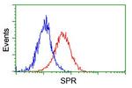 SPR Antibody in Flow Cytometry (Flow)