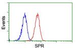 SPR Antibody in Flow Cytometry (Flow)