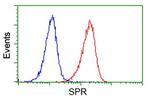 SPR Antibody in Flow Cytometry (Flow)