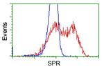 SPR Antibody in Flow Cytometry (Flow)