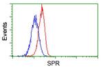 SPR Antibody in Flow Cytometry (Flow)