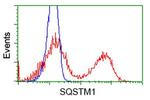 SQSTM1 Antibody in Flow Cytometry (Flow)