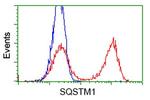 SQSTM1 Antibody in Flow Cytometry (Flow)