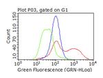 SQSTM1 Antibody in Flow Cytometry (Flow)