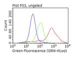 SQSTM1 Antibody in Flow Cytometry (Flow)