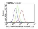 SQSTM1 Antibody in Flow Cytometry (Flow)