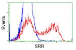 SRR Antibody in Flow Cytometry (Flow)