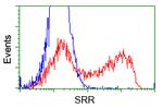 SRR Antibody in Flow Cytometry (Flow)