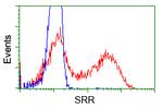 SRR Antibody in Flow Cytometry (Flow)