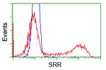 SRR Antibody in Flow Cytometry (Flow)