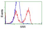 SRR Antibody in Flow Cytometry (Flow)