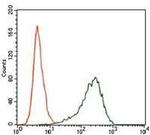 SRY Antibody in Flow Cytometry (Flow)