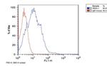 SSEA1 Antibody in Flow Cytometry (Flow)