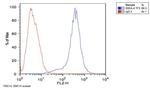 SSEA4 Antibody in Flow Cytometry (Flow)