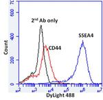 SSEA4 Antibody in Flow Cytometry (Flow)