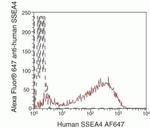 SSEA4 Antibody in Flow Cytometry (Flow)