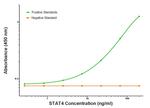 STAT4 Antibody in ELISA (ELISA)