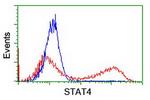 STAT4 Antibody in Flow Cytometry (Flow)