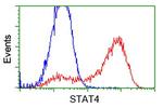 STAT4 Antibody in Flow Cytometry (Flow)