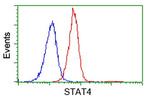 STAT4 Antibody in Flow Cytometry (Flow)