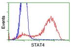 STAT4 Antibody in Flow Cytometry (Flow)