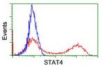 STAT4 Antibody in Flow Cytometry (Flow)