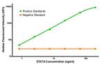 STAT4 Antibody in Luminex (LUM)