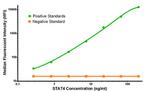 STAT4 Antibody in Luminex (LUM)