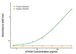 STK39 Antibody in ELISA (ELISA)