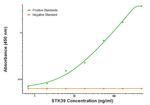 STK39 Antibody in ELISA (ELISA)