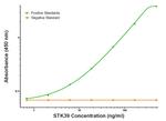 STK39 Antibody in ELISA (ELISA)