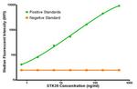 STK39 Antibody in Luminex (LUM)