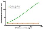 STK39 Antibody in Luminex (LUM)