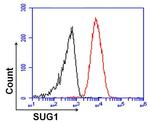 PSMC5 Antibody in Flow Cytometry (Flow)