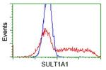 SULT1A1 Antibody in Flow Cytometry (Flow)