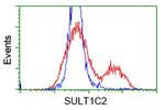 SULT1C2 Antibody in Flow Cytometry (Flow)