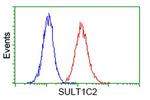 SULT1C2 Antibody in Flow Cytometry (Flow)