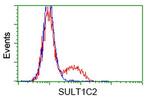 SULT1C2 Antibody in Flow Cytometry (Flow)